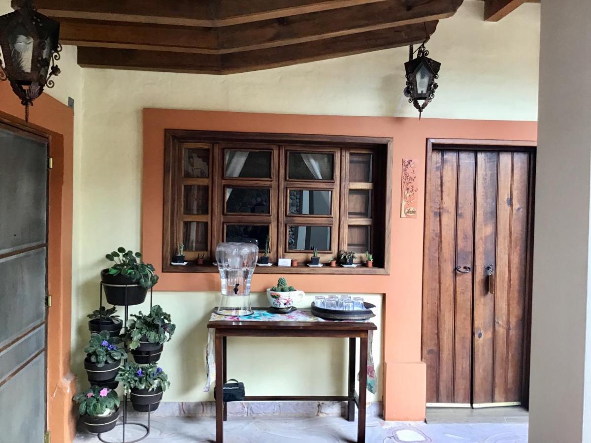 Casa Tia Anita, Hotel Boutique Mascota Esterno foto